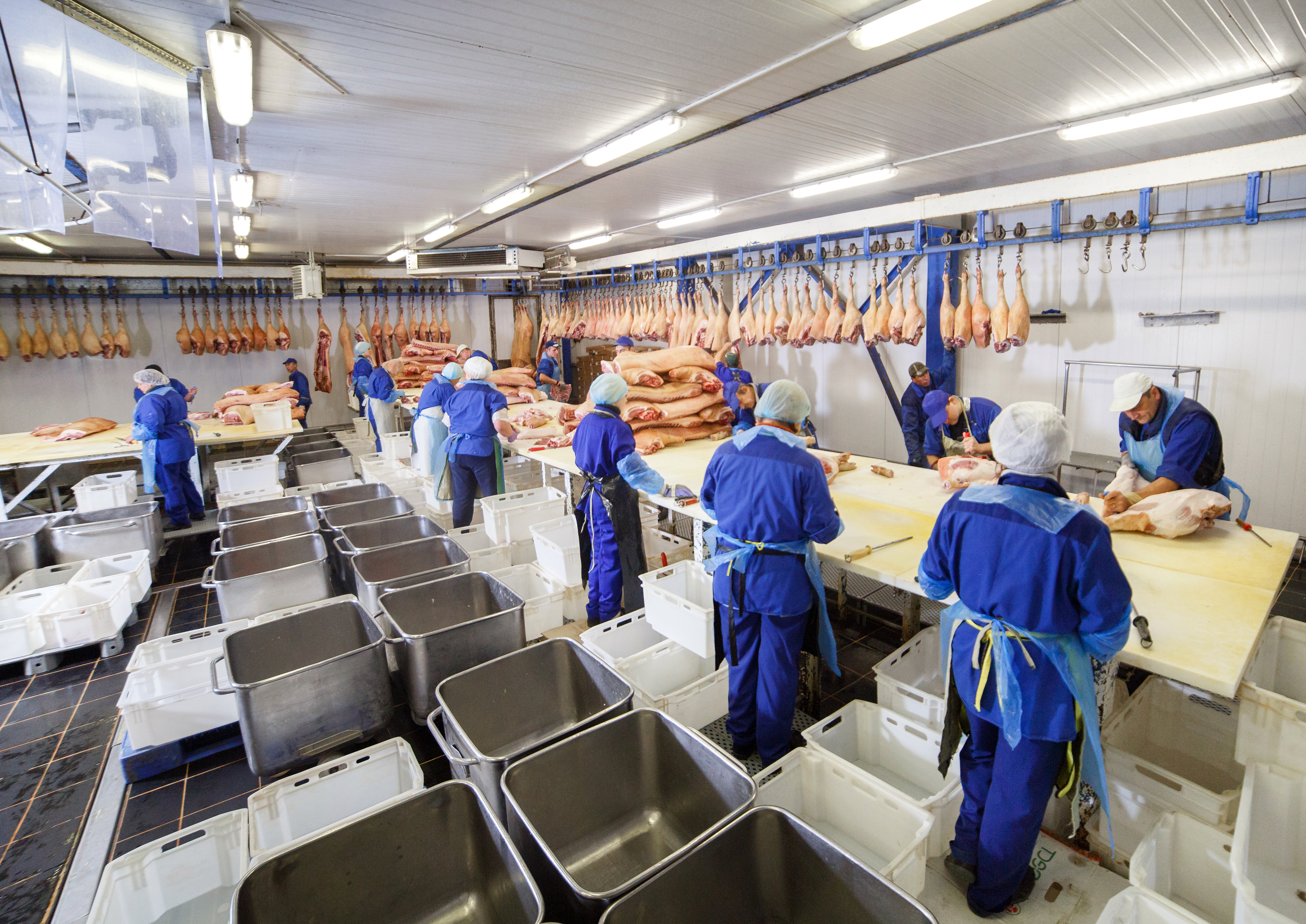 Fleischindustrie