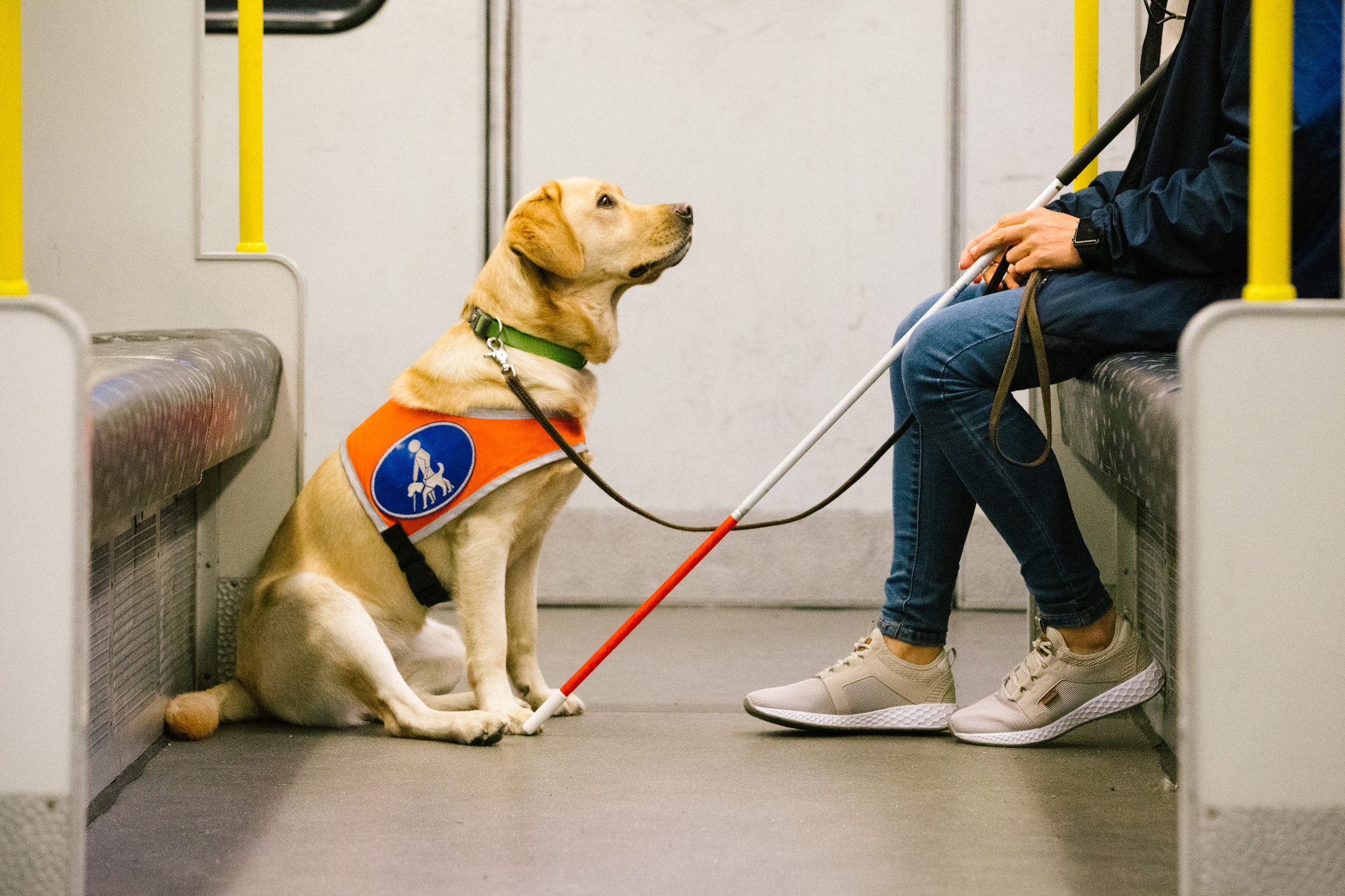 Person in der Bahn mit Blindenhund 